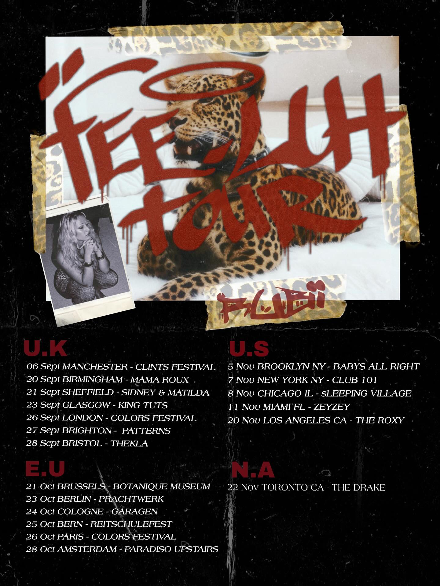 Rubii Feeluh Tour Tour Poster 2025